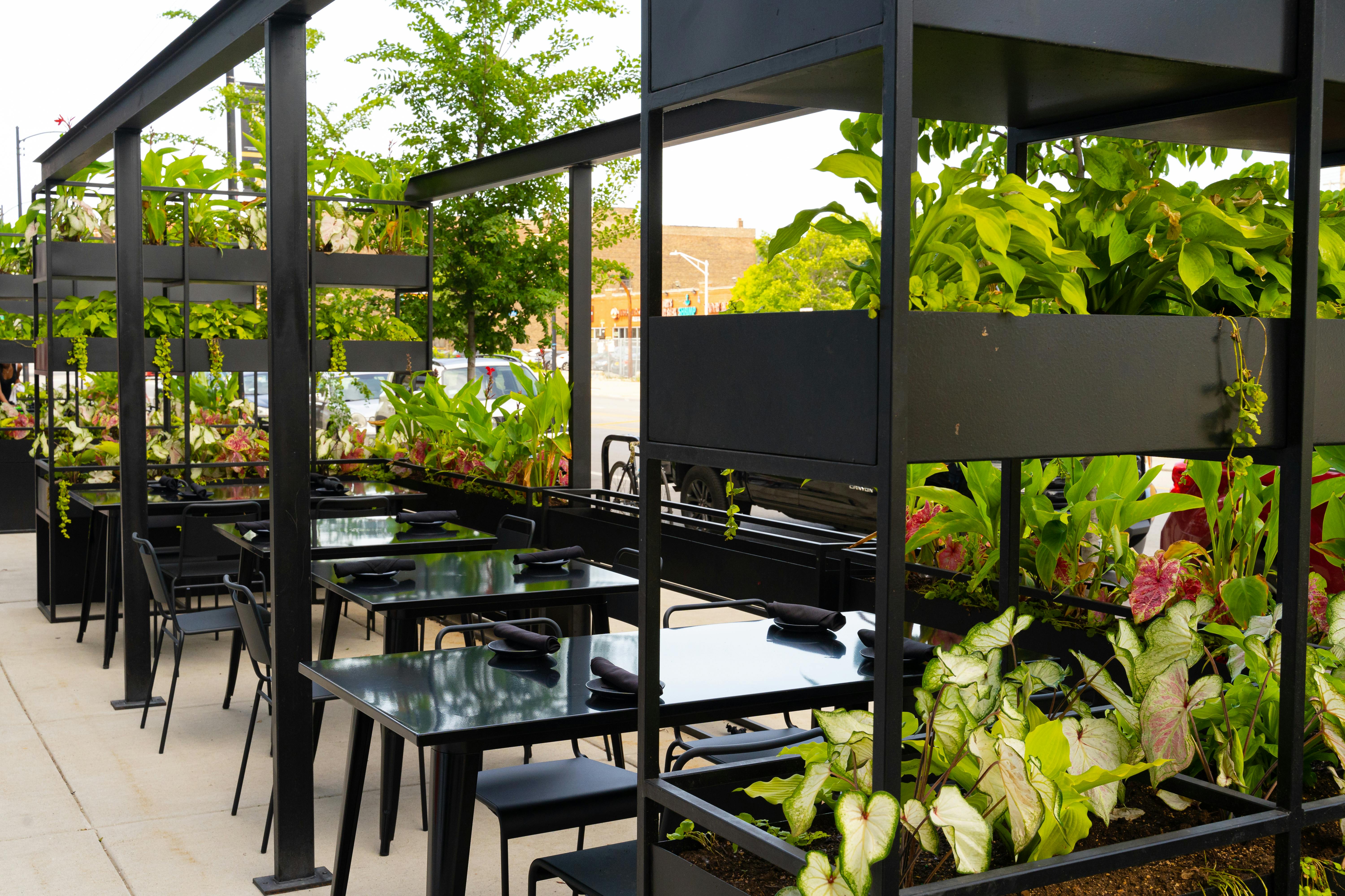 Trivoli Tavern West Loop Chicago The Infatuation