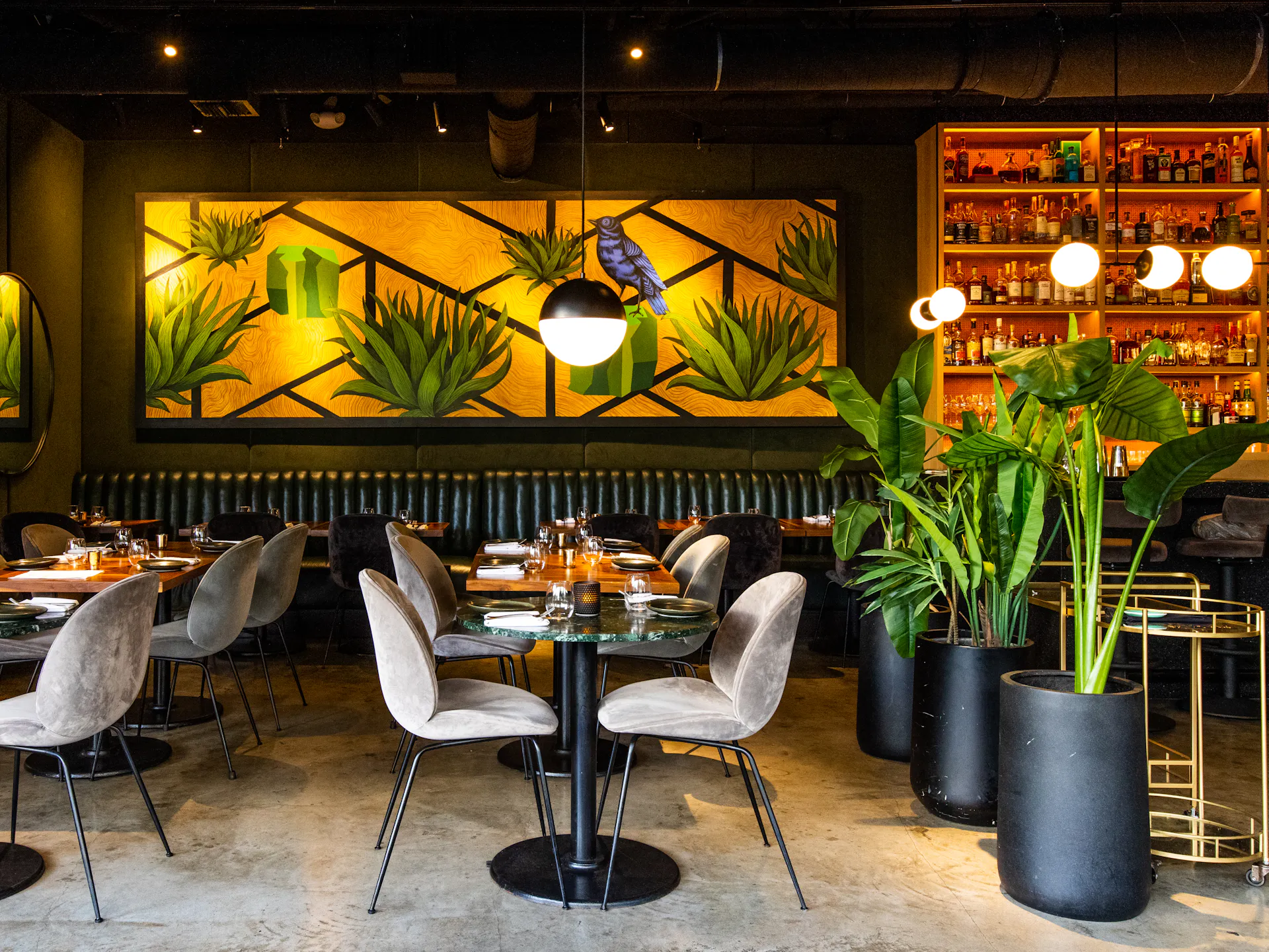 Intimo - South Beach - Miami - The Infatuation