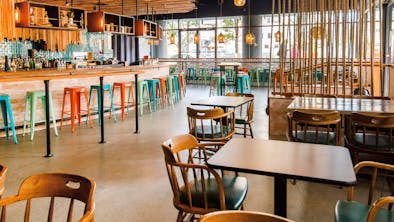 The Best Bars In Belltown feature image