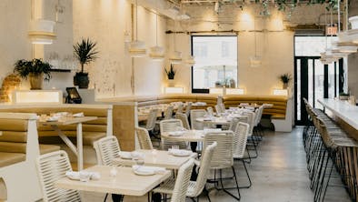 The 20 Best Restaurants In Greenpoint feature image