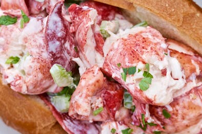 The 17 Best Lobster Rolls In Boston feature image
