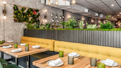 The Best New Brunches In Chicago feature image