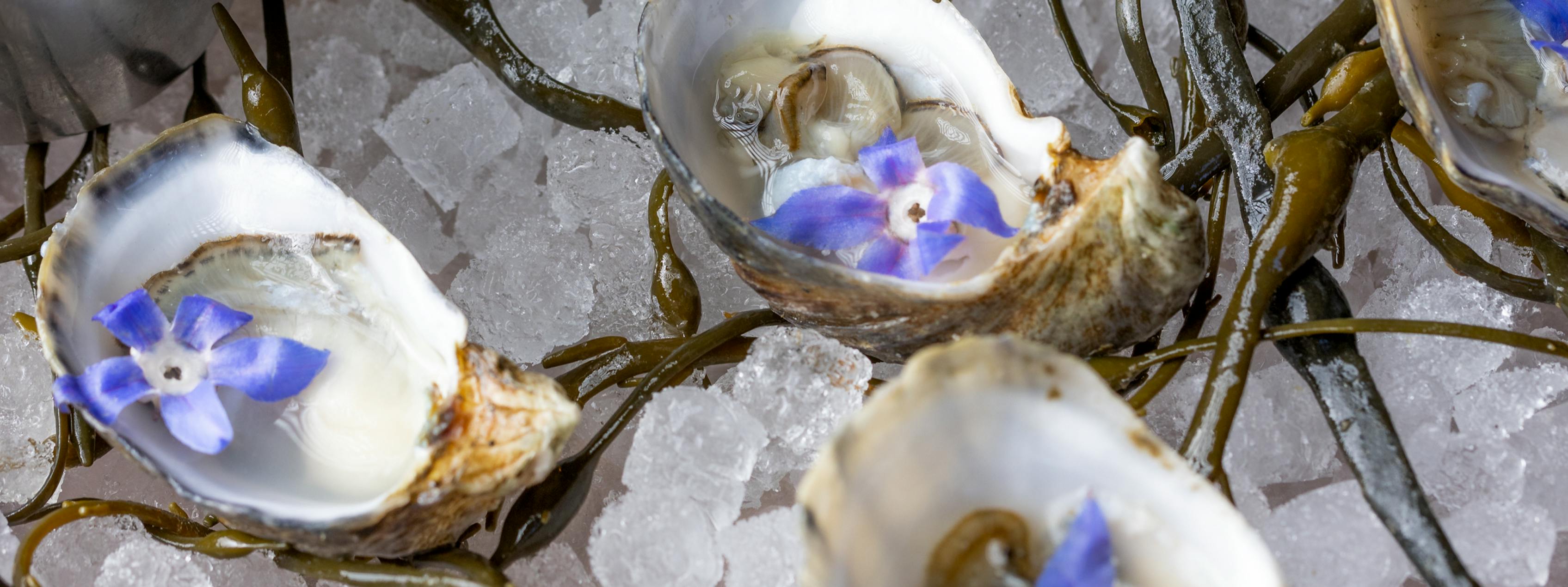 Where To Go When You Just Want Some Oysters Los Angeles The Infatuation