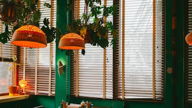 11 Reasons To Spend A Day On Crown Heights' Franklin Avenue feature image