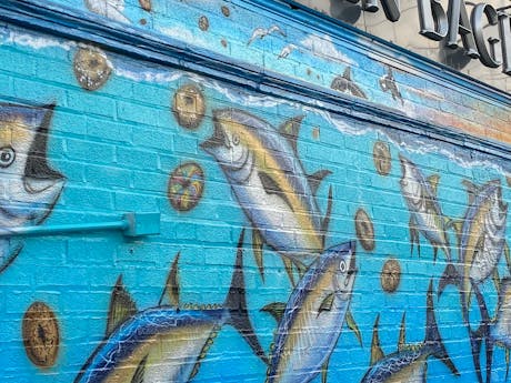 The Best Restaurants In Sheepshead Bay - Sheepshead Bay - New York - The Infatuation