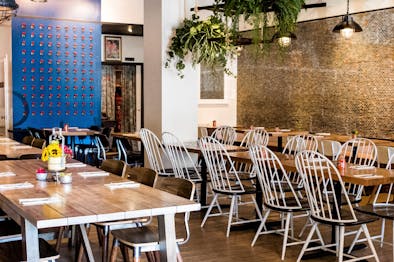 The Casual Weeknight Dinner Guide feature image