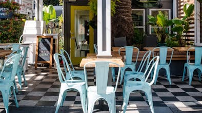 Where To Eat & Drink With Your Dog feature image
