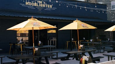 Where To Eat And Drink With Your Dog feature image