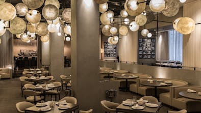 13 Great Chicago Restaurants For Thanksgiving Dinner feature image