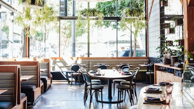 Where To Eat In Hayes Valley feature image