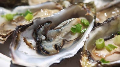 How To Eat Your Way Through Pt. Reyes feature image