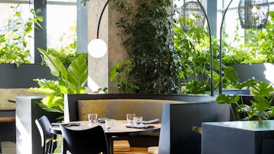 Where To Eat When You Want To Feel Like It’s Summer Even Though It’s 60 Degrees Out feature image
