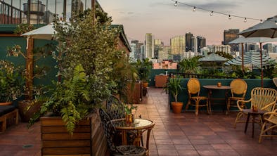 Miami’s New Restaurant Openings feature image