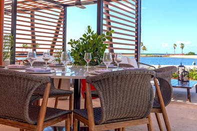 Miami’s New Restaurant Openings feature image
