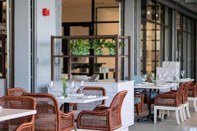 Miami’s New Restaurant Openings feature image