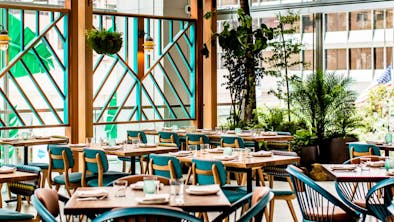 San Francisco’s New Restaurant Openings feature image