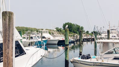 Where To Eat Down The Shore: Long Branch To Seaside Heights feature image