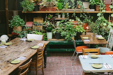 327 NYC Restaurants Where You Can Eat Outside Today feature image