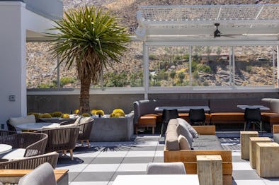 The Best Restaurants In Palm Springs feature image