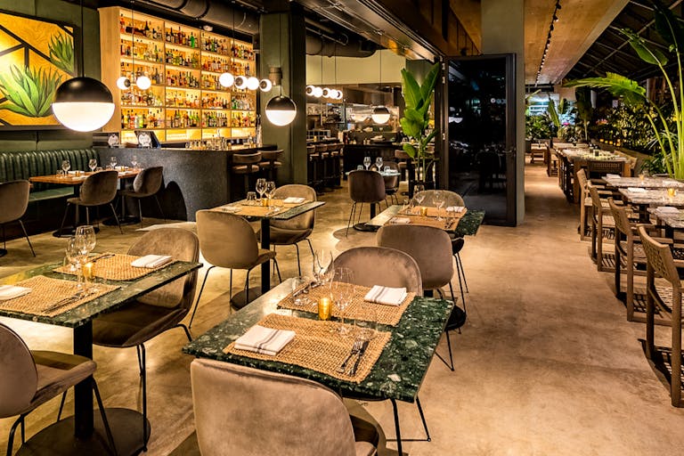 The Best Bars In South Beach South Beach Miami The Infatuation