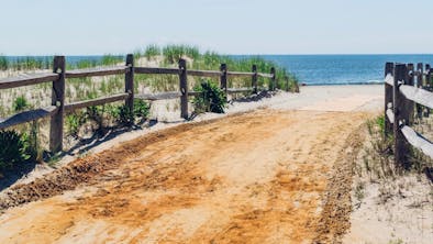 Where To Eat Down The Shore: Atlantic City To Cape May feature image
