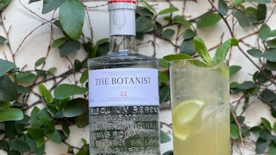 Where To Get A G&T And Give Back In LA feature image