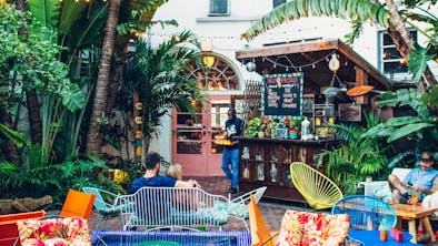 The Bar Greatest Hits List: The 19 Best Bars In Miami feature image