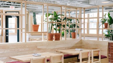 The Best Restaurants In Logan Square feature image