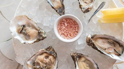 Where To Go When You Just Want Some Oysters feature image