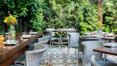 The Best Restaurants In Downtown Miami feature image