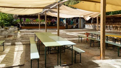 The Best Restaurants in Little Haiti
feature image