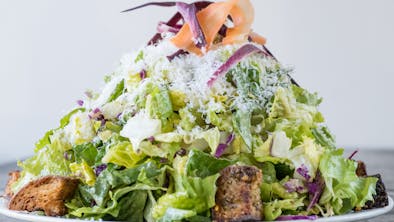 The Best Salads In Seattle feature image