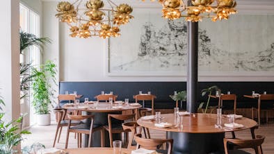 The First Timer’s Guide To Eating In San Francisco feature image