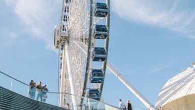 The Navy Pier Survival Guide feature image