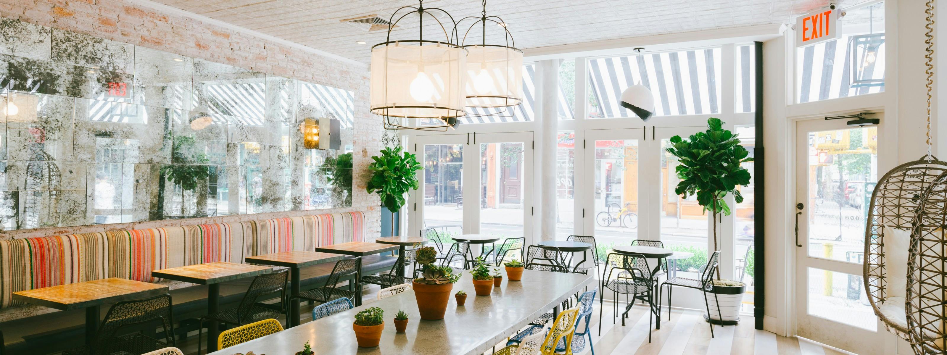 The New MacDougal Street New York The Infatuation