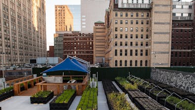 The Secret Rooftops & Patios Of NYC feature image