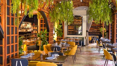 The Best Restaurants In The West Loop feature image