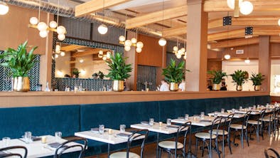 Where To Eat In West Town feature image