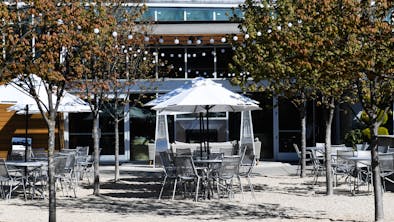 Where To Drink Wine In Woodinville feature image