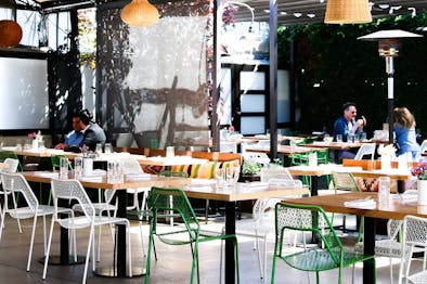 Where To Drink With Your Dog feature image