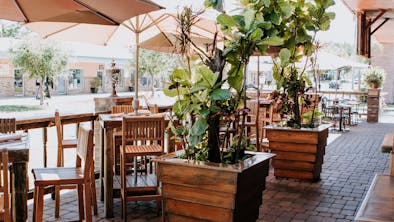 Where To Eat And Drink In Orlando feature image