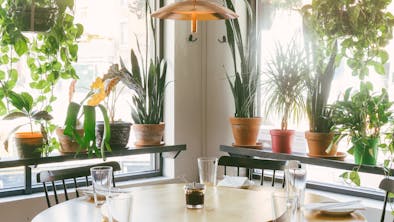 24 NYC Restaurants With Big Round Tables feature image