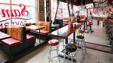 Where To Eat & Drink With Your Dog feature image