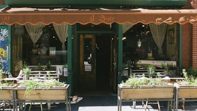 Where To Eat In Noho feature image