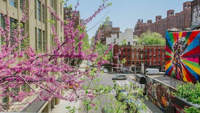 Where To Eat Near The High Line feature image