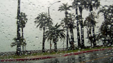 Where To Eat When It Rains In LA feature image