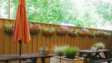 Where To Get Food Near Prospect Park feature image