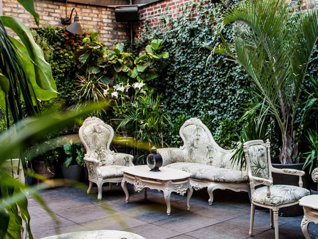 Where To Go For Fake Spring - Chicago - The Infatuation