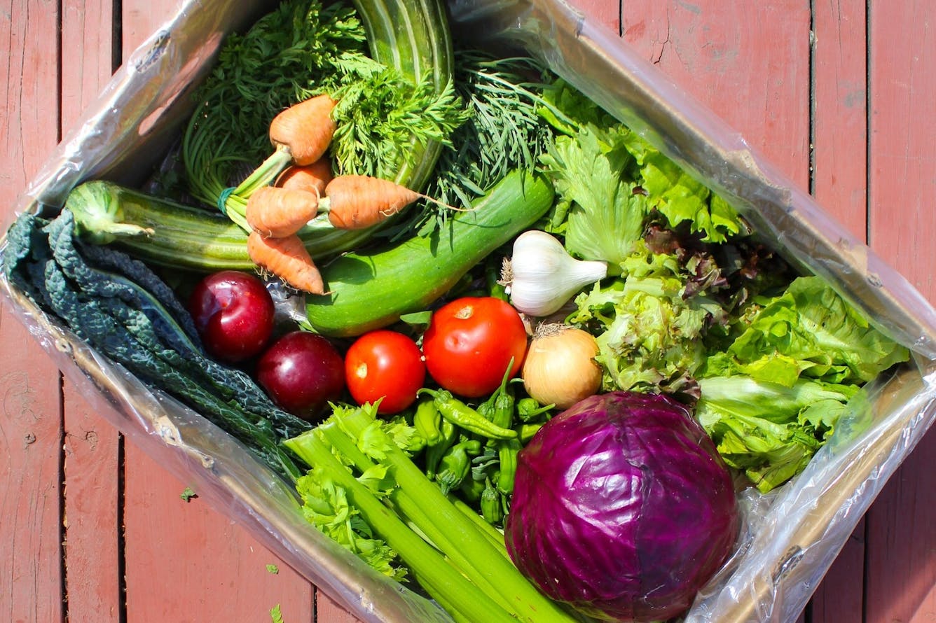 12 Great Produce Boxes To Order & Support LA Farms Los Angeles The