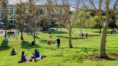 Where To Pick Up Food Before A Pan Pacific Park Picnic feature image